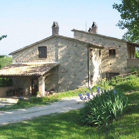 Agriturismo Frallarenza Ficulle 外观 照片