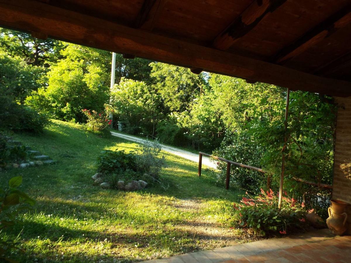 Agriturismo Frallarenza Ficulle 外观 照片