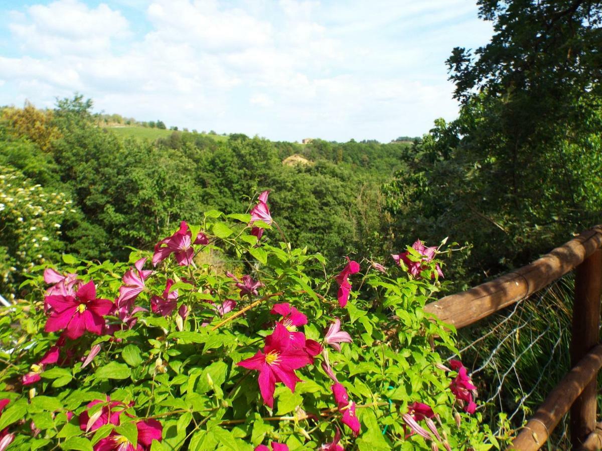 Agriturismo Frallarenza Ficulle 外观 照片