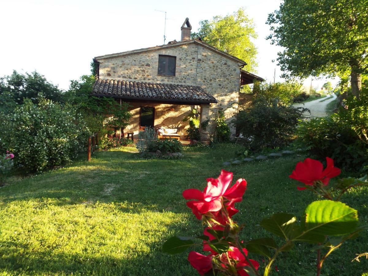 Agriturismo Frallarenza Ficulle 外观 照片