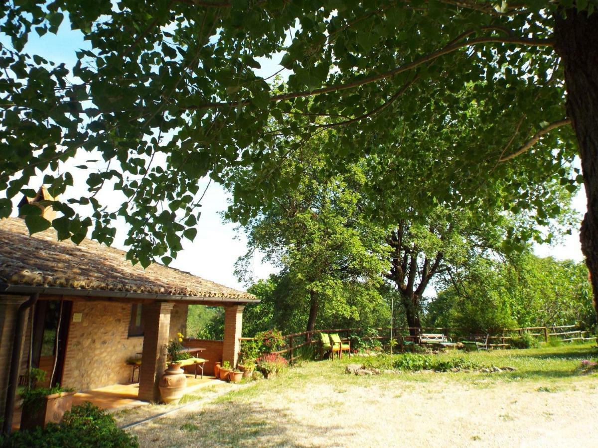 Agriturismo Frallarenza Ficulle 外观 照片