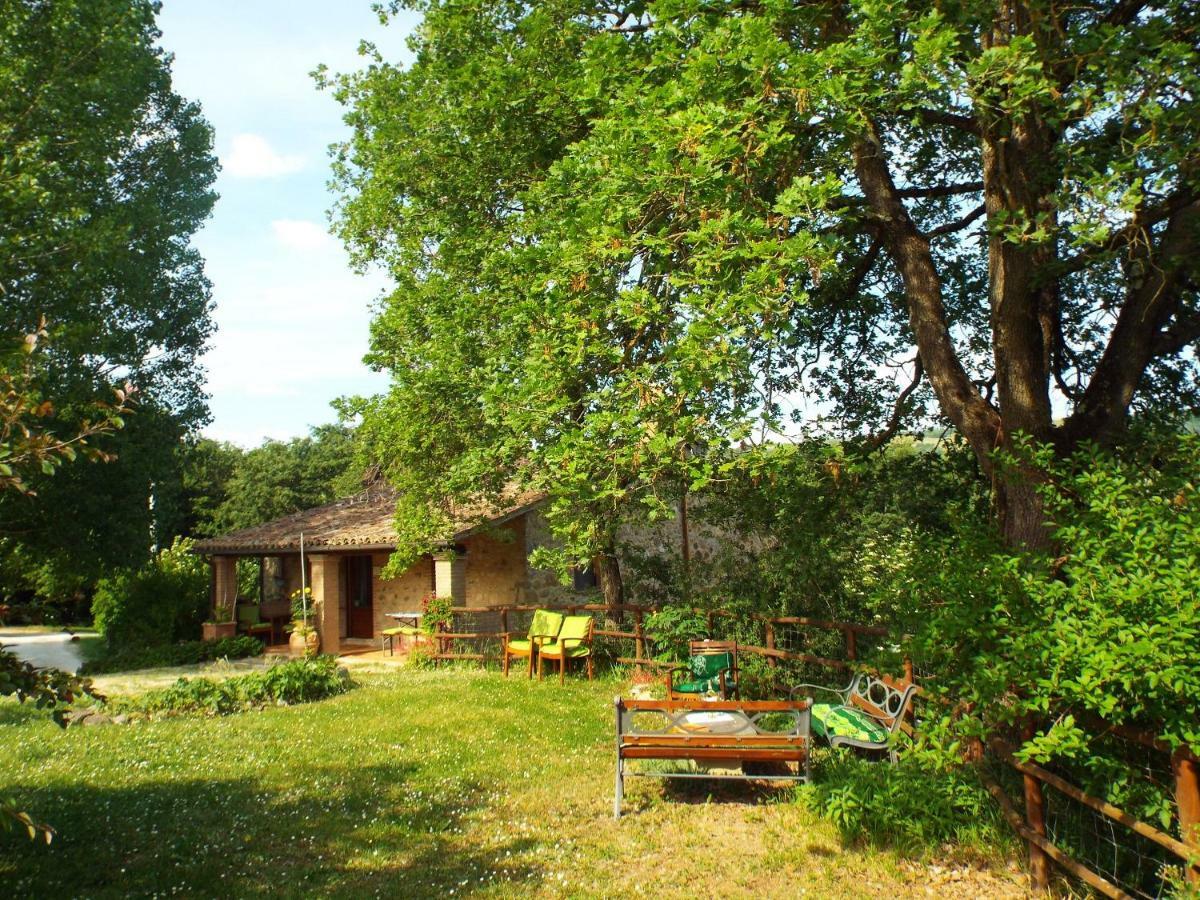 Agriturismo Frallarenza Ficulle 外观 照片