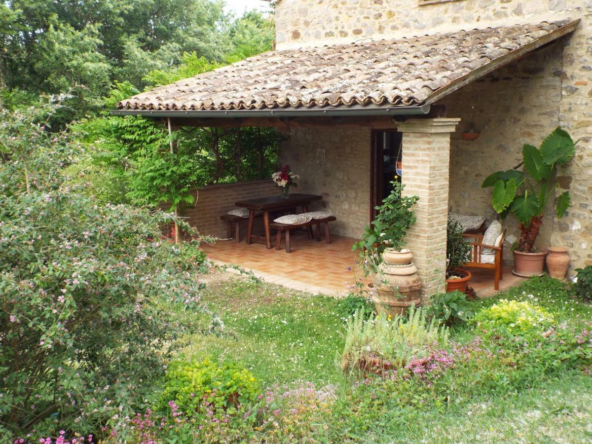 Agriturismo Frallarenza Ficulle 外观 照片