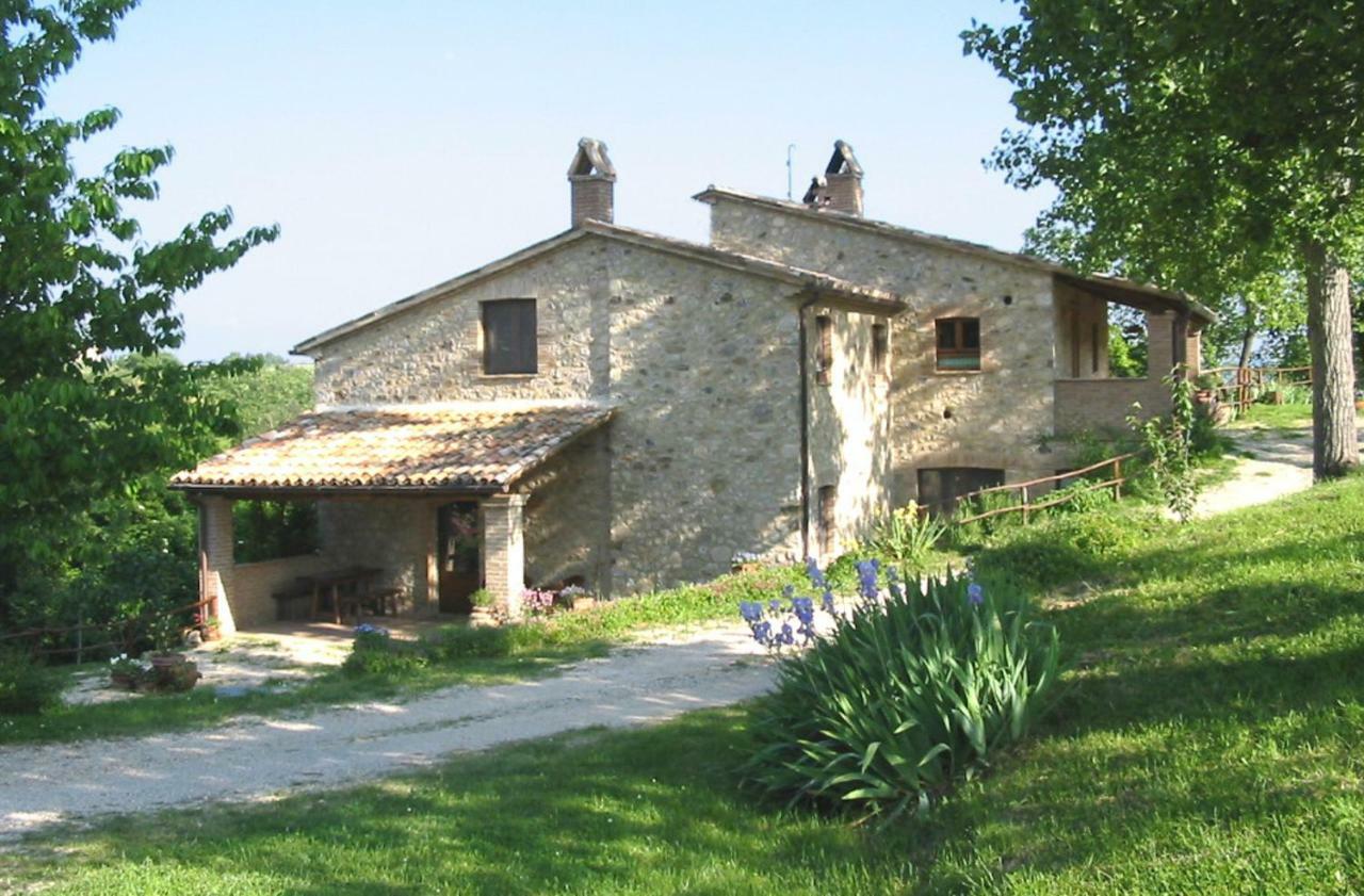 Agriturismo Frallarenza Ficulle 外观 照片