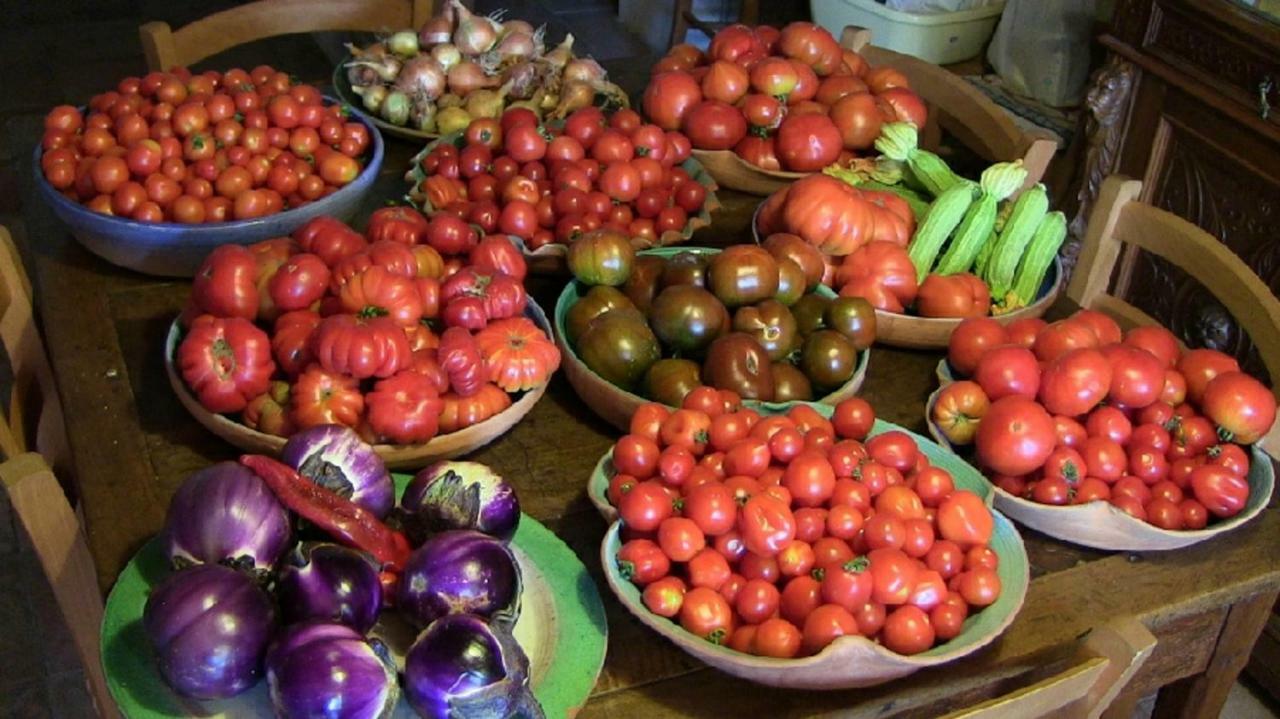 Agriturismo Frallarenza Ficulle 外观 照片