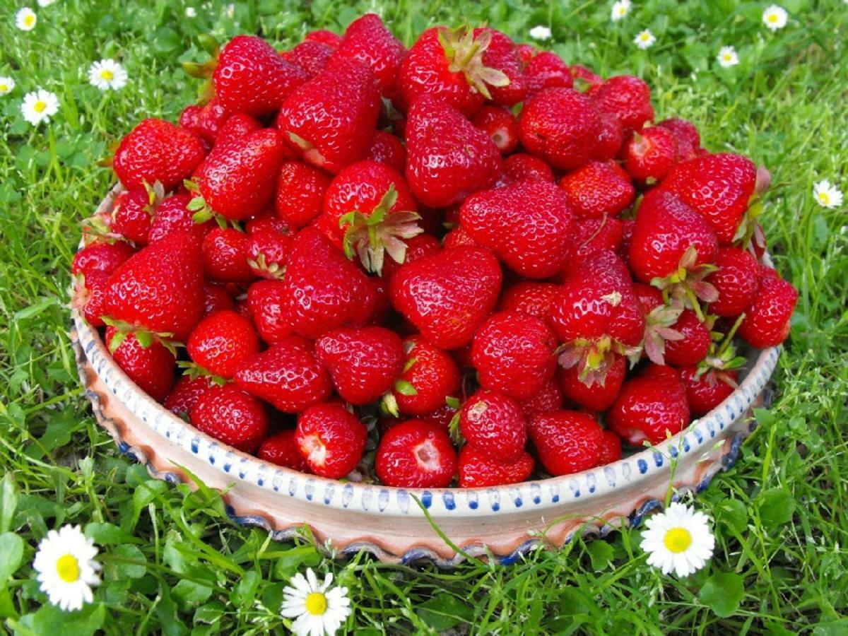 Agriturismo Frallarenza Ficulle 外观 照片