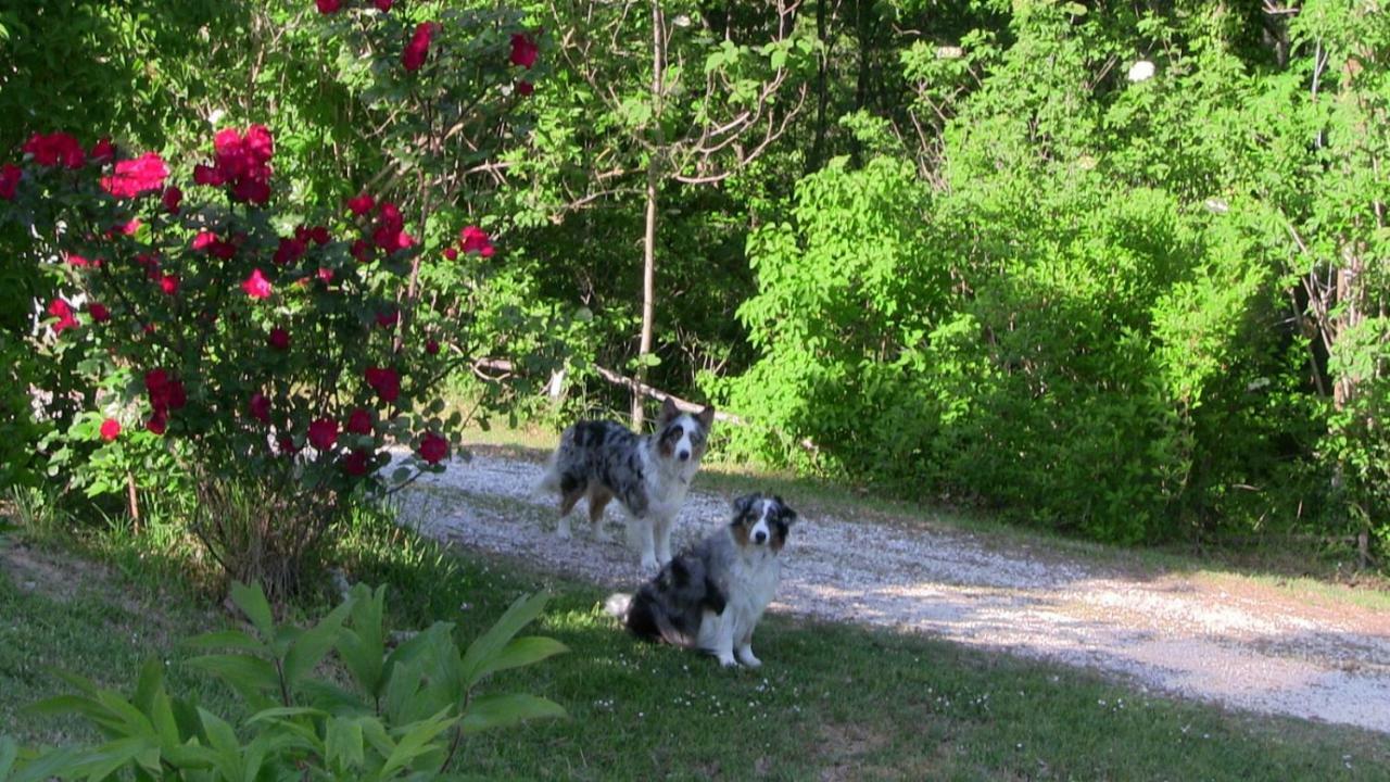 Agriturismo Frallarenza Ficulle 外观 照片