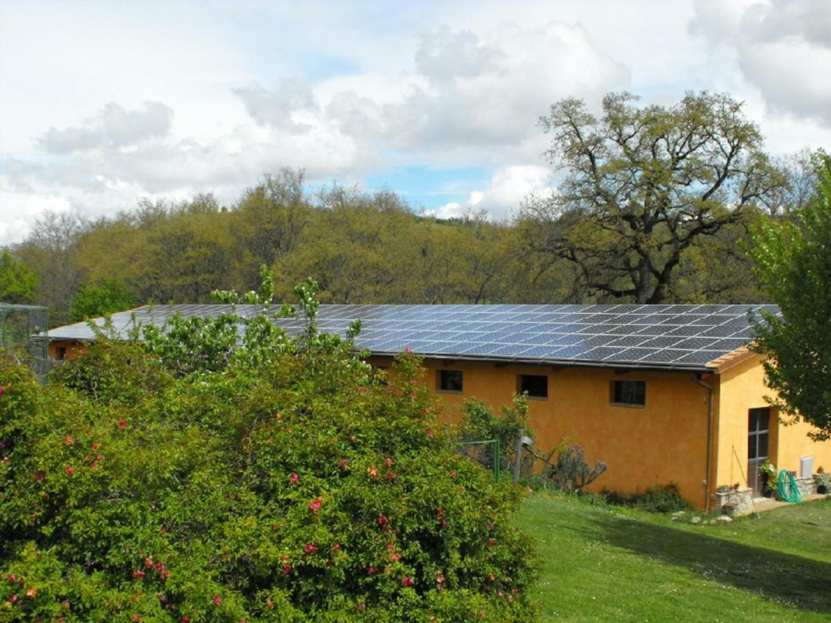 Agriturismo Frallarenza Ficulle 外观 照片