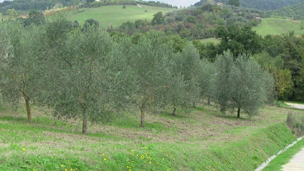 Agriturismo Frallarenza Ficulle 外观 照片