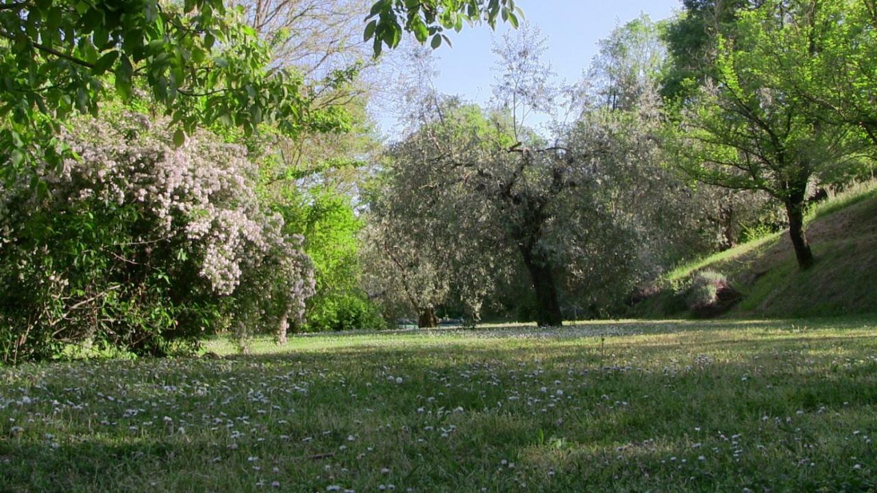 Agriturismo Frallarenza Ficulle 外观 照片