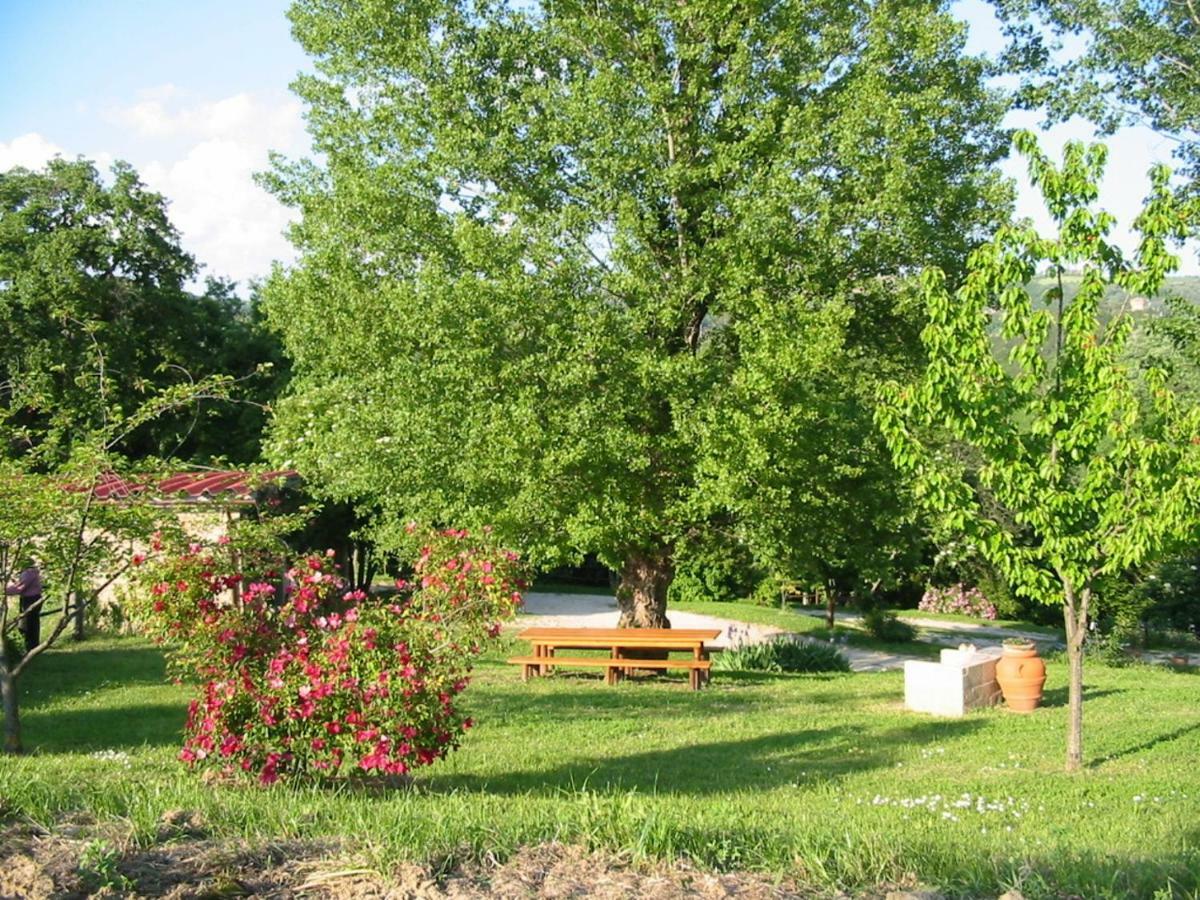 Agriturismo Frallarenza Ficulle 外观 照片