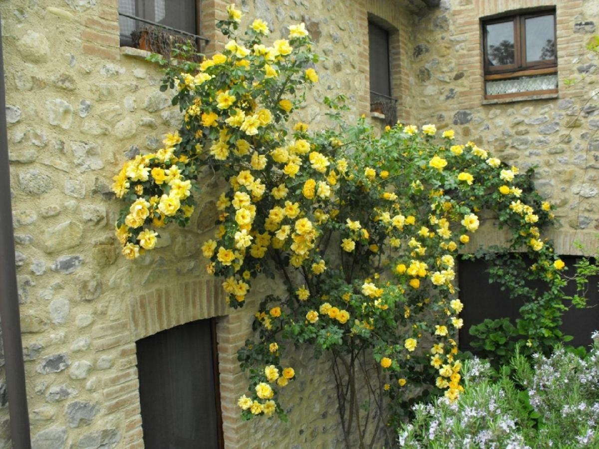 Agriturismo Frallarenza Ficulle 外观 照片