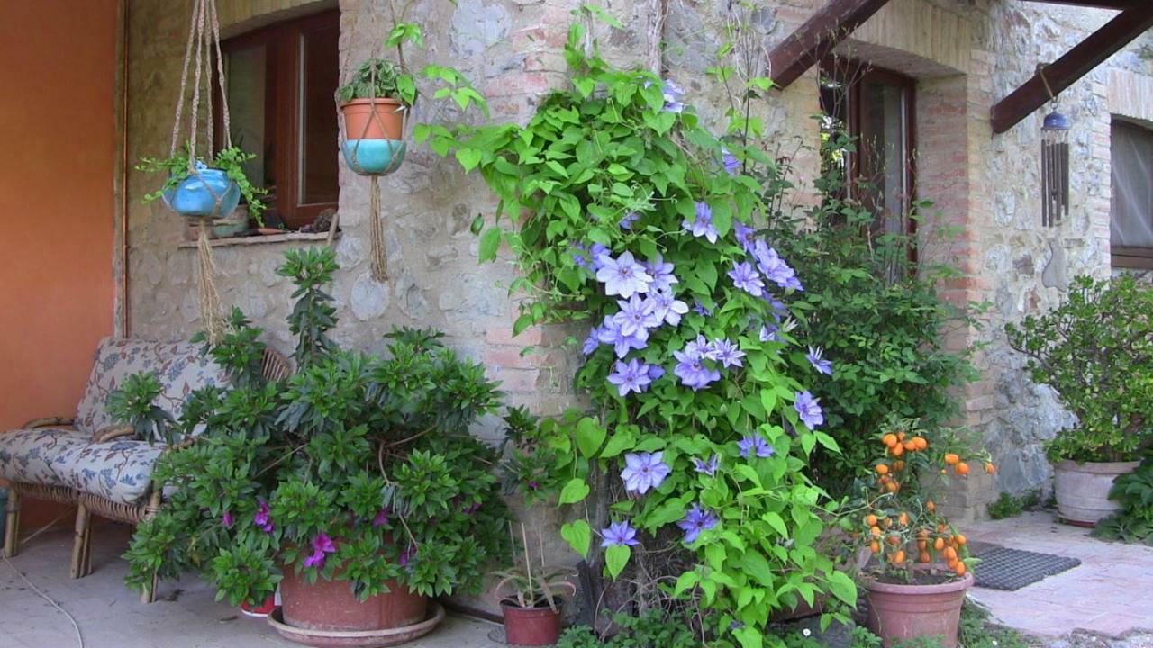 Agriturismo Frallarenza Ficulle 外观 照片
