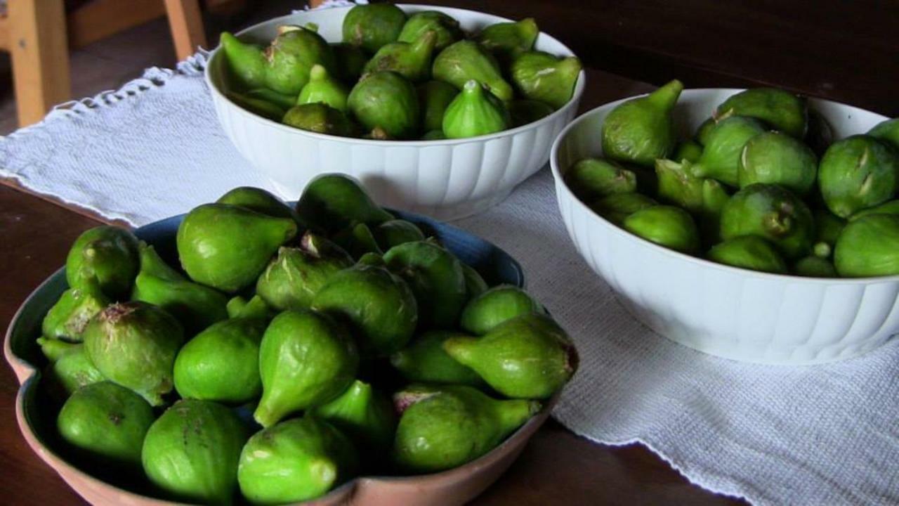 Agriturismo Frallarenza Ficulle 外观 照片